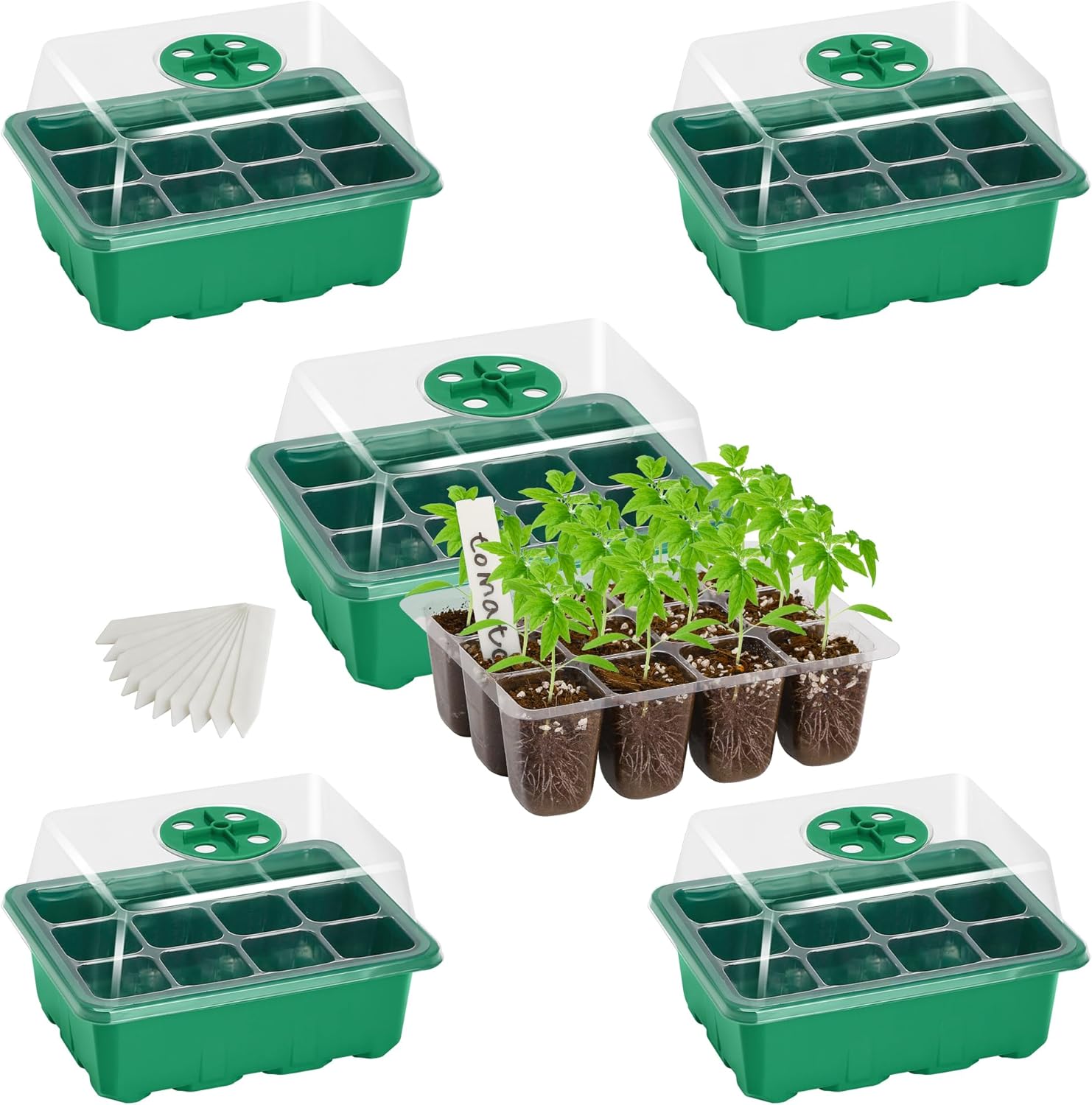 Bonviee 5-Pack Seed Starter Trays, Seed Starter Kit with Adjustable Humidity Dome and Base Indoor Greenhouse Mini Propagator for Seeds Growing Starting (12 Cells Per Tray, Green)