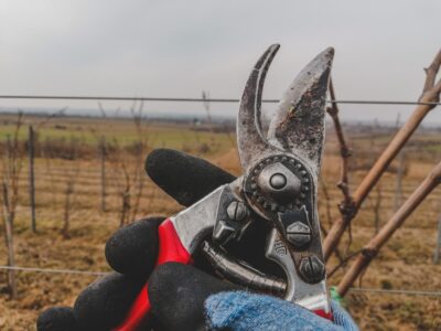 The Ultimate Guide to Maintaining Your Gardening Equipment