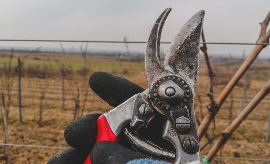 The Ultimate Guide to Maintaining Your Gardening Equipment