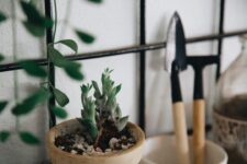 Tips for Organizing Your Garden Tool Collection Effectively