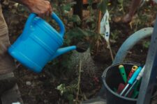 Innovative Gardening Tools That Will Transform Your Garden