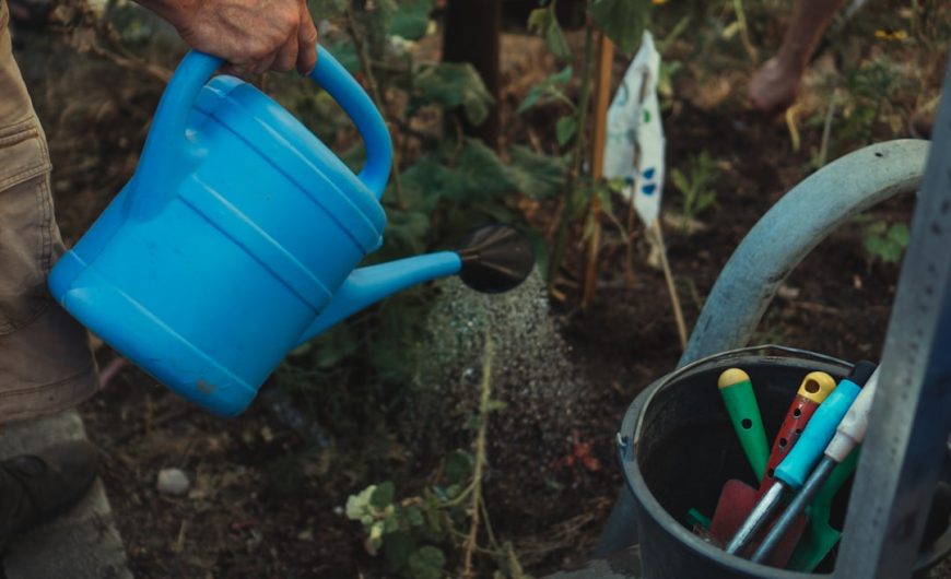 Innovative Gardening Tools That Will Transform Your Garden