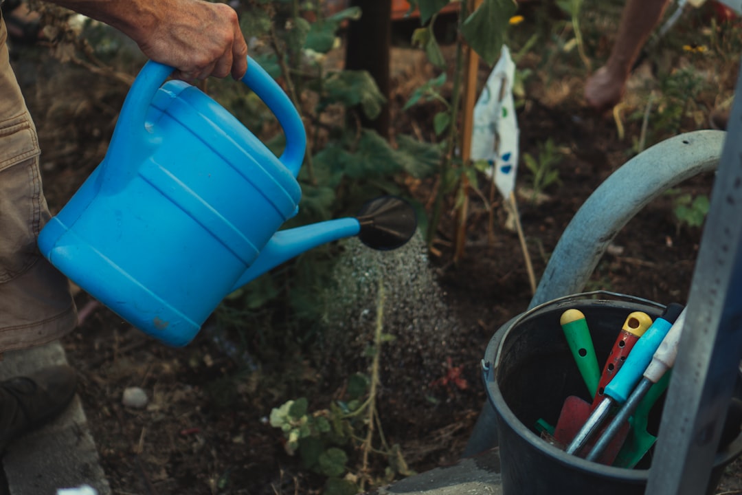 Innovative Gardening Tools That Will Transform Your Garden