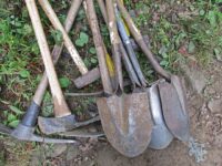 Sustainable Gardening: Eco-Friendly Tools for Your Garden