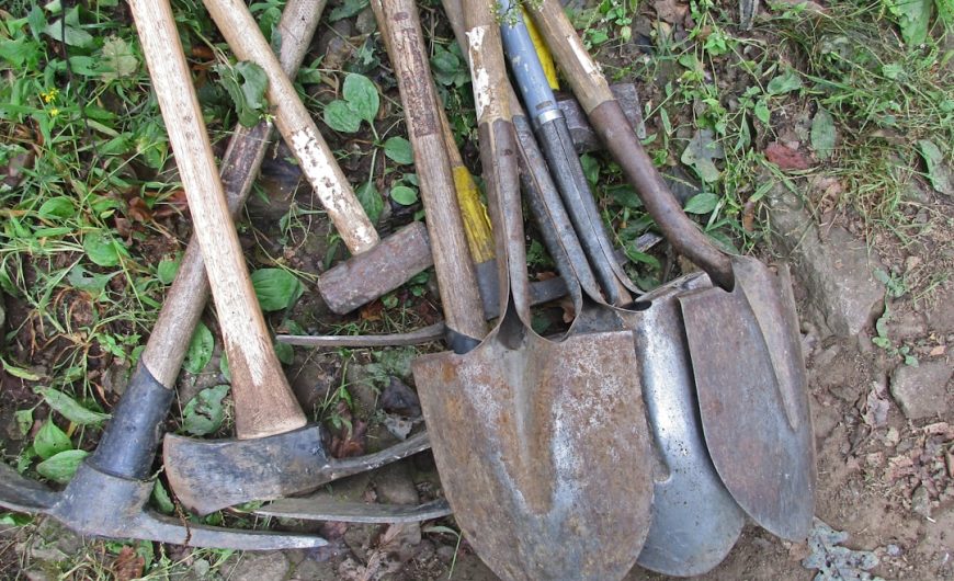 Sustainable Gardening: Eco-Friendly Tools for Your Garden