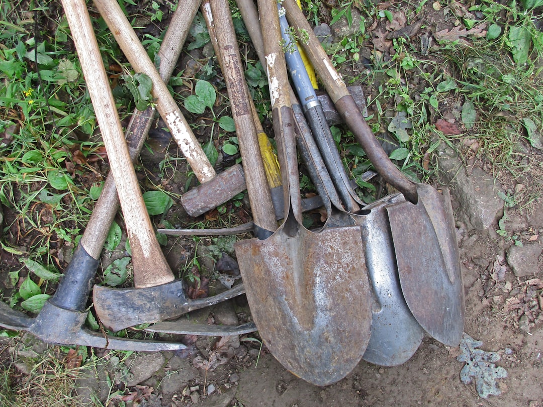 Sustainable Gardening: Eco-Friendly Tools for Your Garden